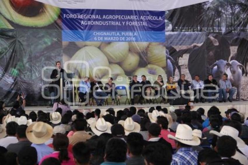 FORO AGROPECUARIO