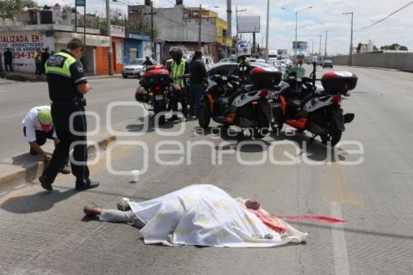 ATROPELLADO ESTEBAN DE ANTUÑANO