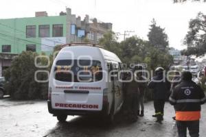 CAE ÁRBOL EN TEXMELUCAN