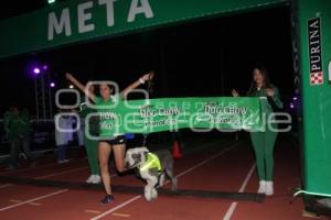 PERROTON 2016