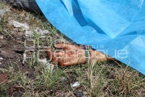 MUERTO A GOLPES LOMAS DE COYOPOTRERO