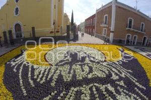 SEMANA SANTA . TAPETE FLORAL . ATLIXCO