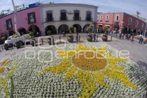 SEMANA SANTA . TAPETE FLORAL . ATLIXCO