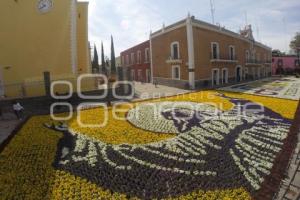 SEMANA SANTA . TAPETE FLORAL . ATLIXCO