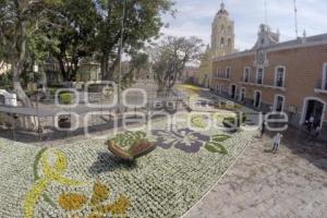 SEMANA SANTA . TAPETE FLORAL . ATLIXCO