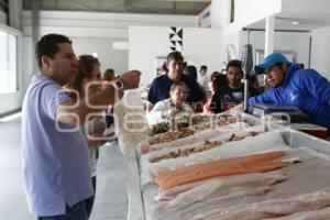 MERCADO DE PESCADOS Y MARISCOS