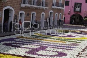 SEMANA SANTA . TAPETE FLORAL . ATLIXCO