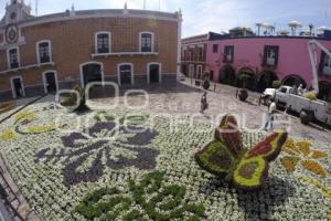 SEMANA SANTA . TAPETE FLORAL . ATLIXCO