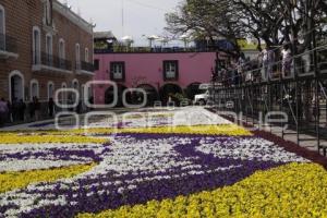 SEMANA SANTA . TAPETE FLORAL . ATLIXCO