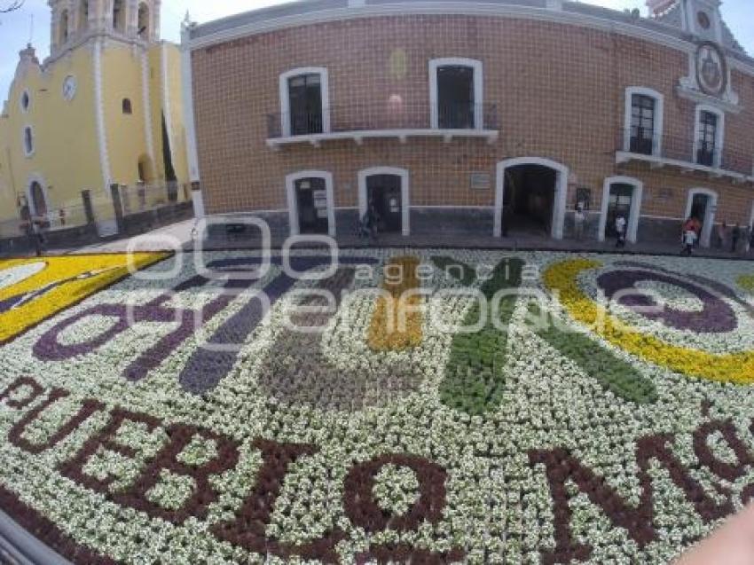 SEMANA SANTA . TAPETE FLORAL . ATLIXCO