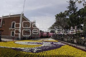 SEMANA SANTA . TAPETE FLORAL . ATLIXCO