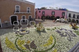 SEMANA SANTA . TAPETE FLORAL . ATLIXCO