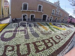 SEMANA SANTA . TAPETE FLORAL . ATLIXCO