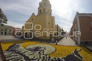 SEMANA SANTA . TAPETE FLORAL . ATLIXCO