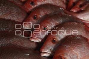 MERCADO DE PESCADOS Y MARISCOS