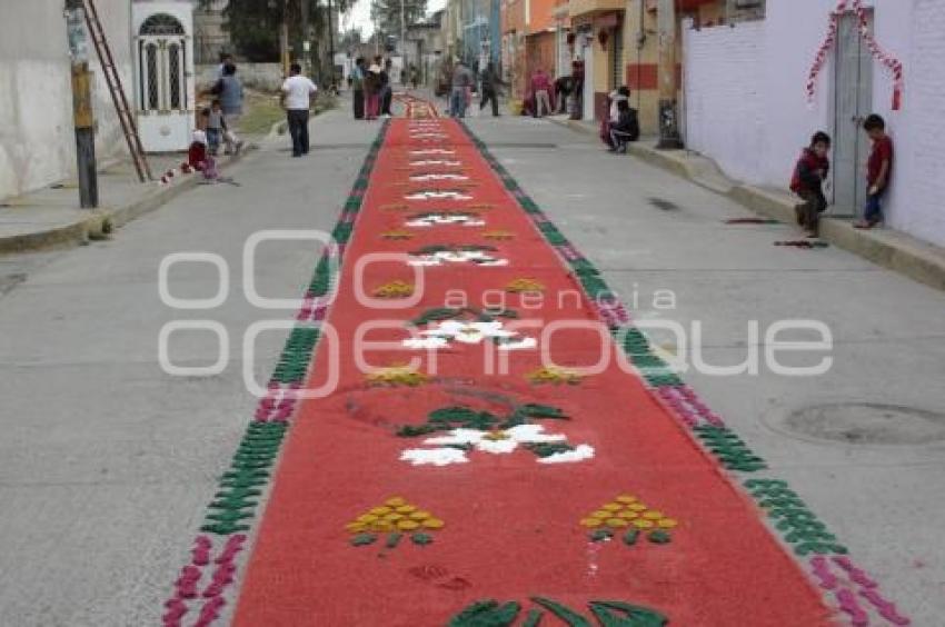 ALFOMBRAS DE ASERRÍN