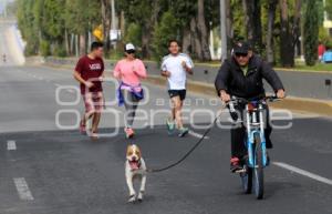 VÍA RECREATIVA METROPOLITANA