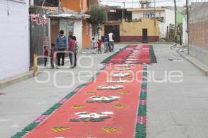 ALFOMBRAS DE ASERRÍN