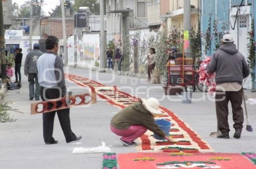 ALFOMBRAS DE ASERRÍN