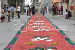 ALFOMBRAS DE ASERRÍN