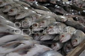 MERCADO DE MARISCOS