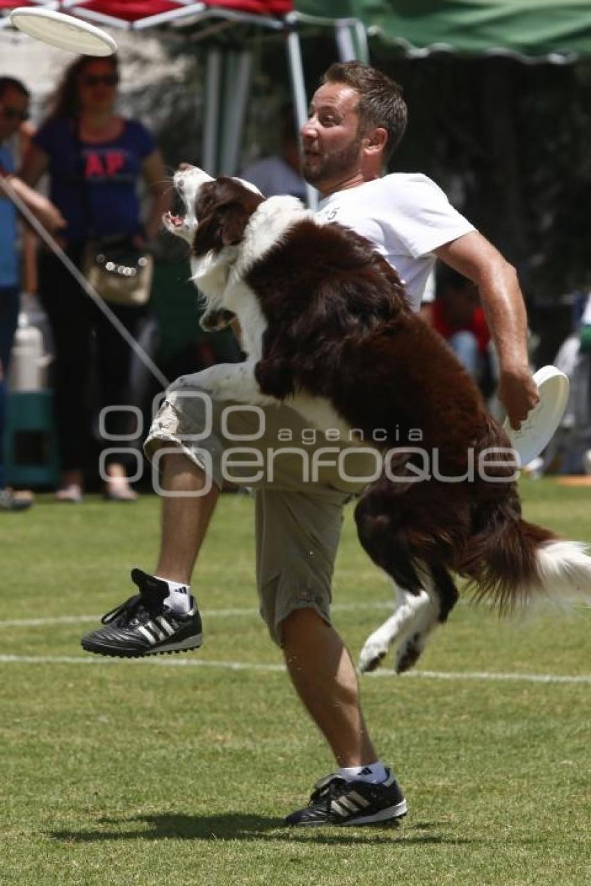 DOGATHON SKYHOUNDS . MASCOTAS