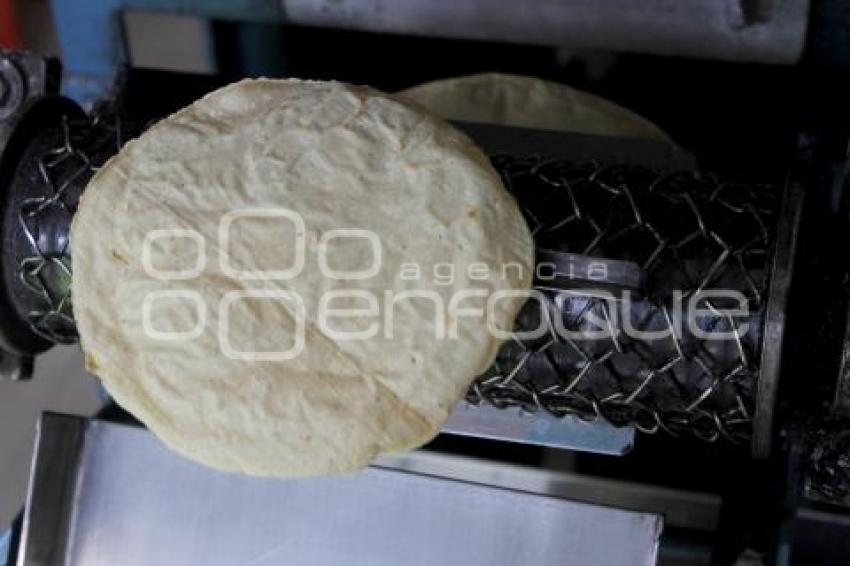 TORTILLA . ECONOMÍA