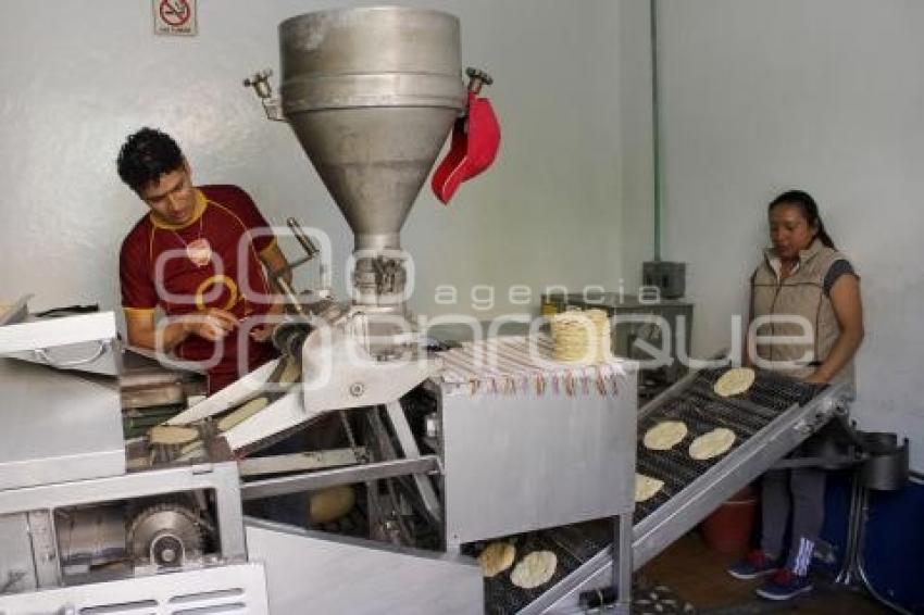 TORTILLA . ECONOMÍA