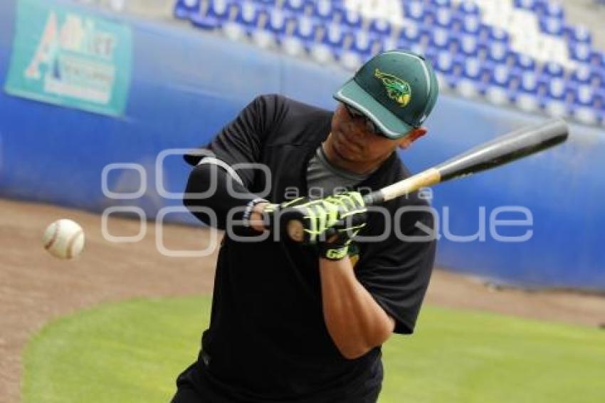 BEISBOL . ENTRENAMIENTO . PERICOS DE PUEBLA