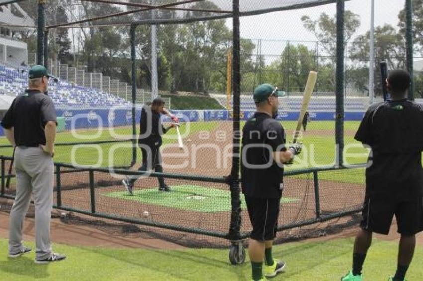 BEISBOL . ENTRENAMIENTO . PERICOS DE PUEBLA