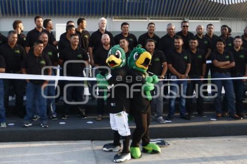 PRESENTACIÓN PERICOS DE PUEBLA