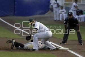 BEISBOL . PERICOS VS TIGRES