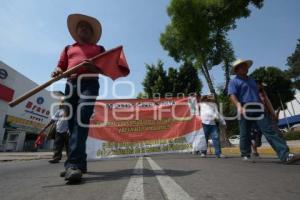 MANIFESTACIÓN 28 DE OCTUBRE