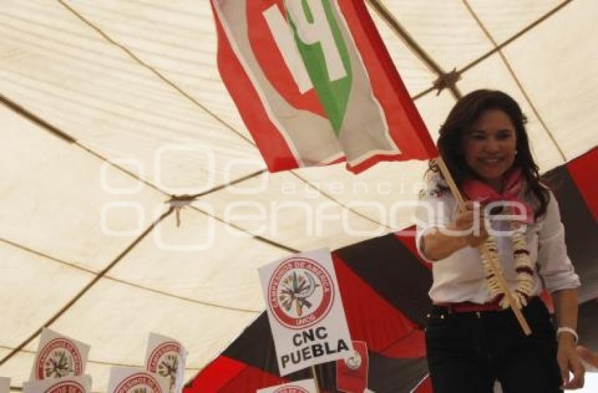 ELECCIONES BLANCA ALCALÁ . ACATLÁN 