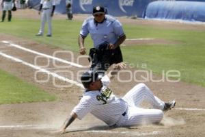 BEISBOL . PERICOS VS LEONES