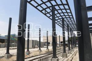 TREN TURÍSTICO