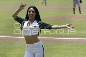 BEISBOL . PERICOS VS LEONES