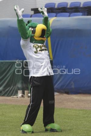 BEISBOL . PERICOS VS LEONES