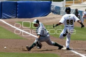 BEISBOL . PERICOS VS LEONES