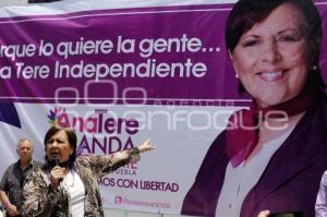 ELECCIONES . ANA TERESA ARANDA