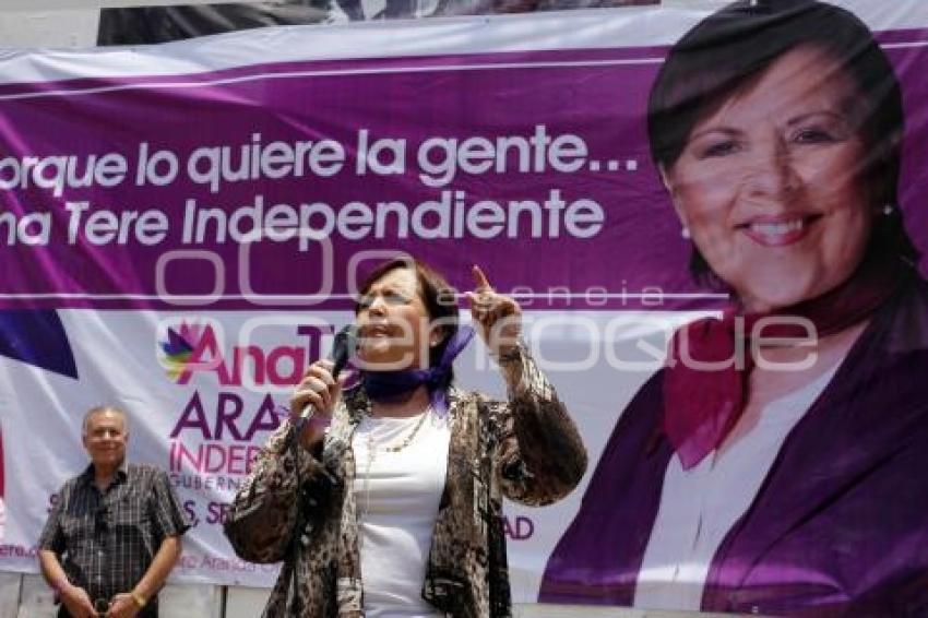 ELECCIONES . ANA TERESA ARANDA