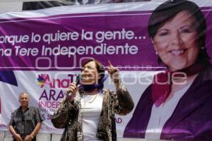 ELECCIONES . ANA TERESA ARANDA