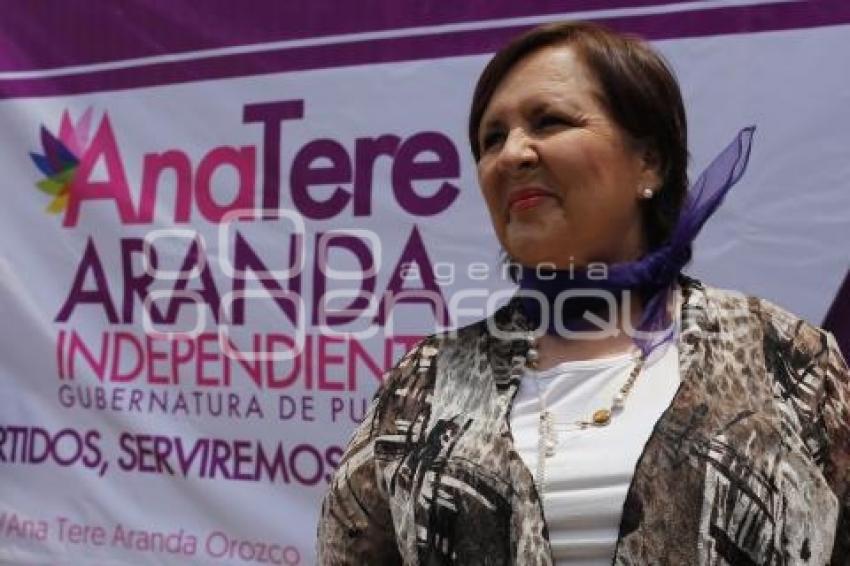 ELECCIONES . ANA TERESA ARANDA