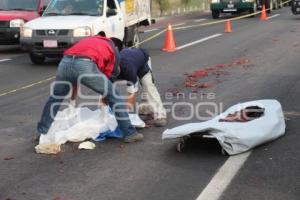 ATROPELLADO AUTOPISTA MÉXICO-PUEBLA