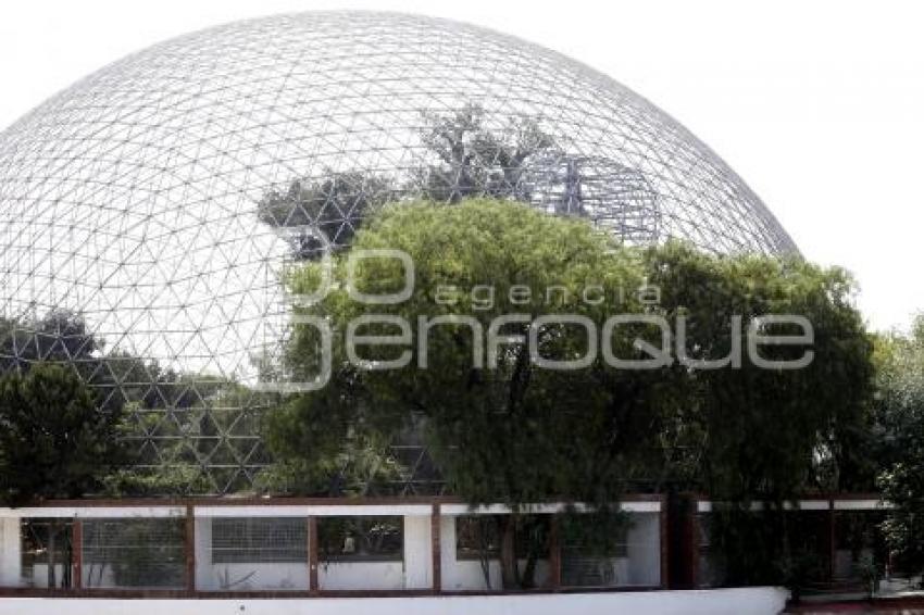 ÁRBOL ARTIFICIAL . PARQUE ECOLÓGICO