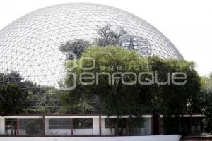 ÁRBOL ARTIFICIAL . PARQUE ECOLÓGICO