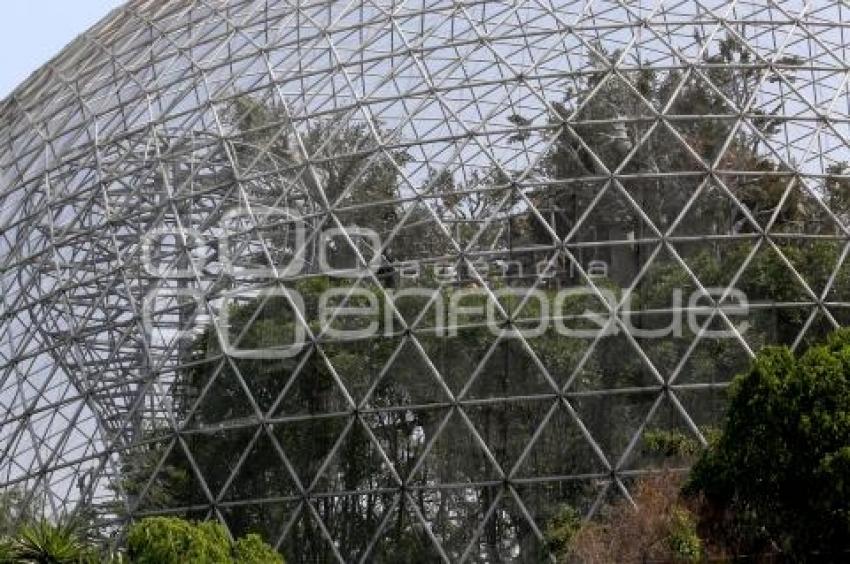 ÁRBOL ARTIFICIAL . PARQUE ECOLÓGICO