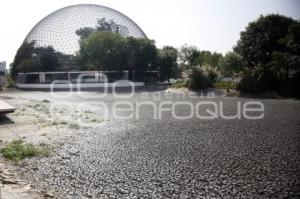 ÁRBOL ARTIFICIAL . PARQUE ECOLÓGICO