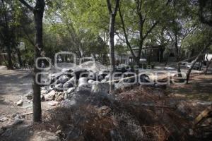 ÁRBOL ARTIFICIAL . PARQUE ECOLÓGICO