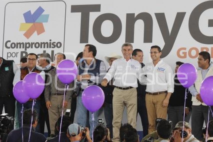 ELECCIONES . TONY GALI . LIBRES